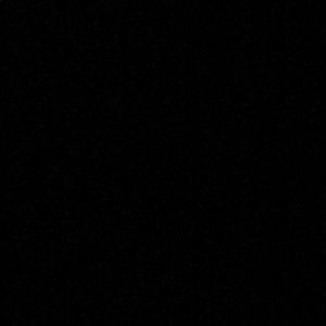 Meet your Posher, Jake